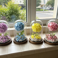 Bunga Hydrangea Awet Shangchu dalam Kubah Kaca - Ornamen Bunga Abadi Bergaya INS yang Elegan, Hadiah Kreatif Mewah untuk Rumah/Meja