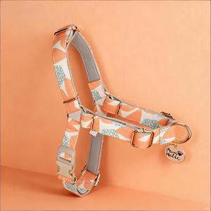 Arnés de Perro de Algodón Moderno y Lujoso, Anti-Tirones, Accesorio de Moda Encantador, Diseño Personalizado, Cómodo, Duradero y Transpirable - Product Image 1