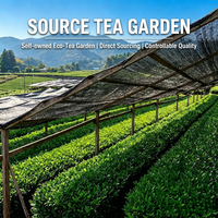 Poudre de Matcha de Qualité Culinaire en Vrac, Marque Privée OEM, Certifiée Biologique USDA, pour la Pâtisserie, les Gâteaux, les Biscuits et les Boissons