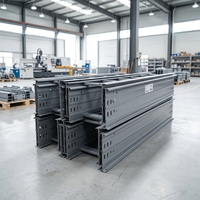 Système de support de câbles en acier galvanisé de type échelle à double rail robuste pour projets électriques