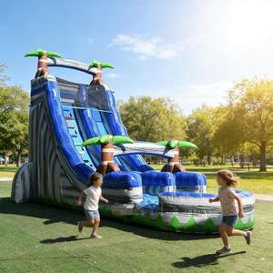 Tobogán Acuático Inflable a Precio Económico, Instalaciones de Entretenimiento Acuático Inflables, Casa de Brinco al Aire Libre con Tobogán Acuático - Product Image 1