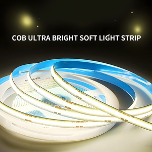 Địa chỉ RGB COB <span class=keywords><strong>LED</strong></span> <span class=keywords><strong>Strip</strong></span> DC24V 11 wát/mét 630LED <span class=keywords><strong>Side</strong></span> <span class=keywords><strong>View</strong></span> Multicolor ma thuật kỹ thuật số COB <span class=keywords><strong>Strip</strong></span> 10 pixel/mét RGB IC COB <span class=keywords><strong>LED</strong></span> <span class=keywords><strong>Strip</strong></span> - Product Image 4