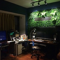 Dernier mur Vertical de gazon artificiel externe 50cm X 50cm, fausse décoration de jardin extérieur et de mur de lierre intérieur de maison, plantes décoratives