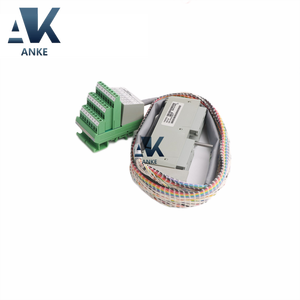 Conjunto de Cable de Terminación Foxboro FBM3A/33A P0500RU - Product Image 3