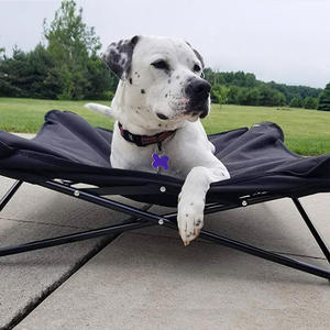 Erhöhtes Klappbares Hundebett für Innen und Außen Camping-Liege für Kleine Hunde - Product Image 5