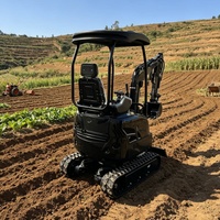 Remises Fabricant : Nouvelle Mini-Pelleuse de 1,6 Tonne, Machine à Chenilles Tout-Terrain pour Ferme et Usage Domestique, Mini-Excavatrice Compacte
