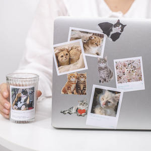 <span class=keywords><strong>ช</strong></span>ุดสติกเก<span class=keywords><strong>อร</strong></span>์45<span class=keywords><strong>ช</strong></span>ิ้น/แพ็ค<span class=keywords><strong>ช</strong></span>ุดยิง<span class=keywords><strong>แมว</strong></span>ธีมแมววัสดุตกแต่งสัตว์เลี้ยงสติกเก<span class=keywords><strong>อร</strong></span>์บัญ<span class=keywords><strong>ช</strong></span>ีมือ8<span class=keywords><strong>ร</strong></span>ุ่น - Product Image 4