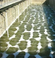 Diffuseur d'air en caoutchouc à microbulles pour l'aération et la diffusion d'air à bulles fines pour le traitement des eaux usées industrielles