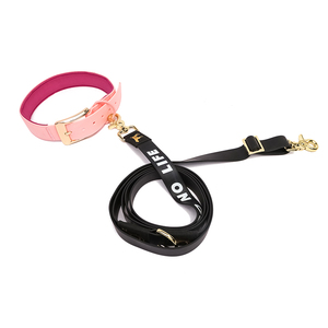 Nuevo diseño OEM personalizado PVC con PU Correa impermeable para perros grandes correa ajustable de Pvc para mascotas con clip de rana - Product Image 1