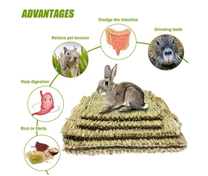 Tapis de lit tissé en paille naturelle d'herbe, petit Animal, literie, jouets à mâcher, jouet de jeu, cochon d'inde, perroquet, lapin, Hamster - Product Image 1