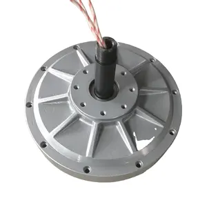 Produttore Personalizzato 500w 300rpm AC 3 Phase Disco Coreless Libero di Energia di potere di Elettricità Generatori A Magneti Permanenti Alternatore