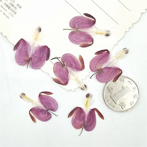 12pcs/pack Bleeding <strong>Heart</strong> Pressed Botanical <strong>for</strong> Candle Making DIY <strong>Craft</strong> Resin Art Frame Home Deco. - Product Image 5