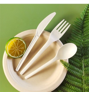 Fourchettes en plastique jetables professionnelles et ensemble de vaisselle de couteau de cuillère utilisation de fête à <span class=keywords><strong>la</strong></span> maison ensemble de couverts de vaisselle d'hôtel - Product Image 4