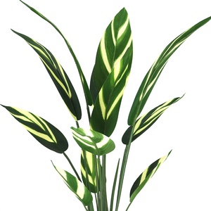 ต้นกล้วยเทียมสูง 100 ซม. พร้อมกระถาง - Product Image 6