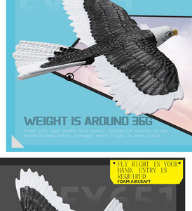 Avion <span class=keywords><strong>planeur</strong></span> en mousse RC Top FX651, envergure de 405 mm, simulation d'ailes d'aigle, radiocommande 2,4 G, jouets d'avion télécommandés - Product Image 6