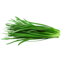 Poudre de jus de prairie-chaudronne de qualité alimentaire (poudre de feuilles de prairie-chaudronne et de ciboulette chinoise) Allium Tuberosum Rottler, fournie directement par l'usine