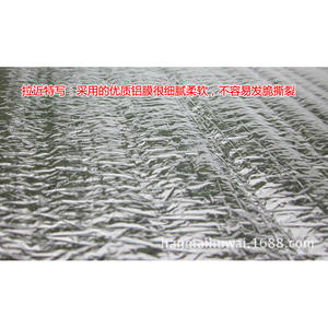 Hanmai Double Sided Aluminum Foil Moisture Proof <b>Mat</b> 300cm X 300cm Portable Camping Picnic <b>Ground</b> Pad - Product Image 3