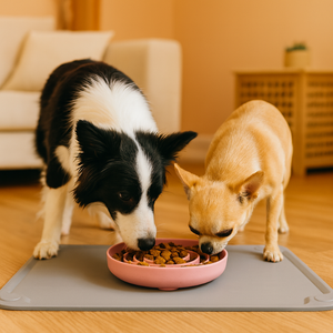 Özel Toptan Su Geçirmez ve Kaymaz Silikon Köpek Kedi Mama Kabı Altlığı Evcil Hayvan Silikon Mama Altlığı Silikon Evcil Hayvan Besleme Altlığı - Product Image 2