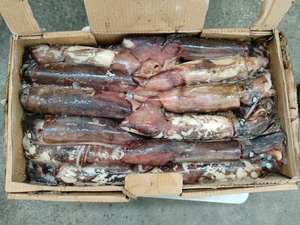 Calmar du Pacifique Sud, calmar rond entier congelé individuellement avec taille 200-300g, fruits <span class=keywords><strong>de</strong></span> mer sauvages pour la vente en gros - Product Image 2