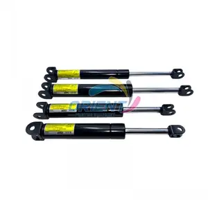 Door Cover Hydraulic Rod Strut Rod Gas Struts Shock 50P2 40P4 40N2 Gas Spring For Screen CTP PTR Plate Processor