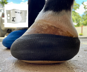 Senolo orthohoof ngựa đúc Băng vật liệu quý crack móng đúc <span class=keywords><strong>3</strong></span> inch - Product Image 1