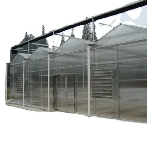 農業/産業ワンワンマルチスパン商業温室簡単組み立てダブルフィルム温室