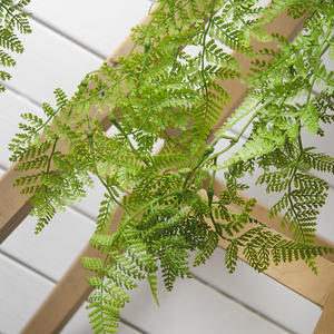 ช่อดอกไม้ปลอมสำหรับตกแต่งผนัง,ต้นสนใบเฟิร์น - Product Image 5