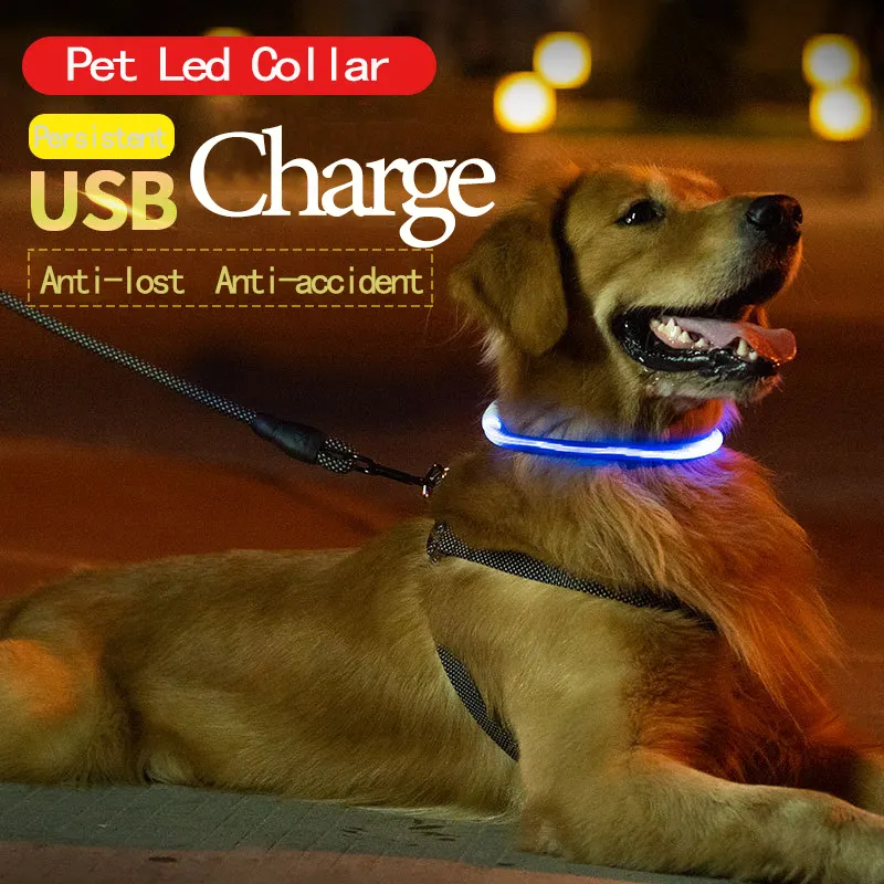 Neon Kerah Anjing Peliharaan Bercahaya Biaya Kerah Led Malam Keselamatan Berkedip Cahaya Anjing Menyala Kerah Perro Luz Aksesori Hewan Peliharaan