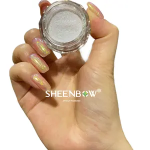 Sheenbow la più recente polvere di pigmenti per unghie glitter olografici al neon