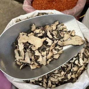 Zhu <span class=keywords><strong>Ling</strong></span> - Product Image 1