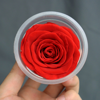Grosir bunga abadi mawar alami mawar asli diawetkan 6-7cm untuk DIY Hari Valentine Natal Hari Ibu