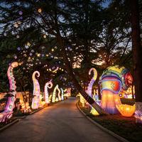 Lanternes LED étanches personnalisées en forme de pieuvre de dessin animé pour le festival de Thanksgiving, idéales pour les parcs aquatiques, les rues et les parcs à thème.