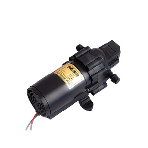 Farmer jet — <span class=keywords><strong>pompe</strong></span> haute pression 60W, 9lpm, <span class=keywords><strong>pompe</strong></span> à amorçage automatique, 900 Psi, démarreur automatique, Double <span class=keywords><strong>pompe</strong></span> à diaphragme - Product Image 5