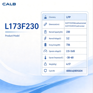 Cellule de batterie LiFePO4 CALB 230Ah 3.2V Grade A EUCAR Niveau 2 Sécurité 4000cls Testée contre le broyage, la vibration, la chaleur et les courts-circuits externes - Product Image 4