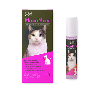 कुत्तों 0.35oz के लिए मौखिक घाव देखभाल जेल प्लास्टिक 100% प्राकृतिक सामग्री की सुरक्षित देखभाल मौखिक घावों की सूजन का इलाज करता है - Product Image 1