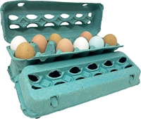 Plateaux à Œufs Personnalisés Recyclables Biodégradables en Pâte à Papier de Qualité, Alvéoles en Carton pour Œufs, Boîtes à Œufs Jetables en Papier et Pâte à Papier