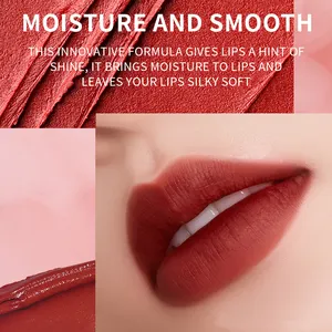 Kostenlose Probe hochwertigen Red Lip Stick wasserdicht Makeup süßen matten Lippenstift