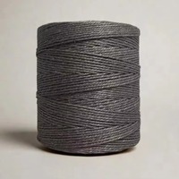 Fibre de sisal naturelle recyclable, procédé de filature à anneaux pour la fabrication de tapis, d'objets d'art et de jouets pour animaux de compagnie