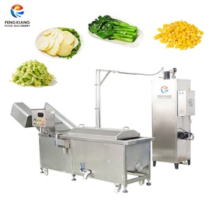 Équipement commercial de blanchiment des légumes : machine à blanchir le maïs doux, le gingembre, le brocoli et les épinards - Product Image 1