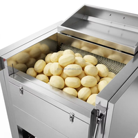 Commerciële elektrische borstel groentewasser zoete aardappel aardappel schil- reinigings- polijstmachine