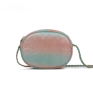 Bolso Cruzado para Mujer, Nuevo 2026, Textura Piel de Serpiente, Bolso para Cámara, Ligero, Simple, Cuero Genuino - Product Image 1