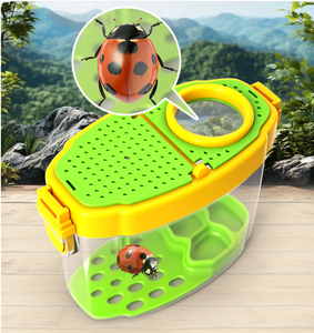 Loupe d'exploration en plein air <span class=keywords><strong>pour</strong></span> enfants, boîte de collecte d'<span class=keywords><strong>insectes</strong></span>, boîte d'observation <span class=keywords><strong>pour</strong></span> attraper les <span class=keywords><strong>insectes</strong></span> - Product Image 4