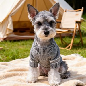 PETCIRCLE - Product Image 3
