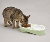 Mangeoire double inclinée pour animaux de compagnie avec bols en céramique émaillée et support en PP mat pour chats et petits chiens