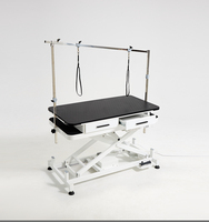 Table de toilettage électrique relevable pour animaux, protection anti-fuite, construction automatique en acier inoxydable, rangement sécurisé sous la table