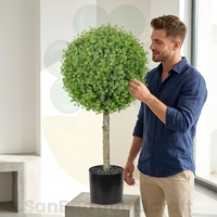 Boule de buis artificielle en pot avec tronc en bois naturel, décoration intérieure réaliste, fausse verdure