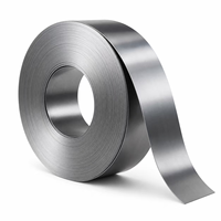 Bobine de bande d'acier au carbone laminée à froid, bande d'acier de précision pour le stampage de ressorts, la quincaillerie et les applications industrielles