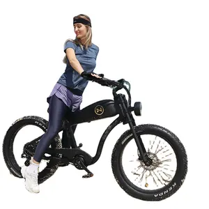 Lvneng 토크 센서 카페 레이서 전기 자전거 52V750W 1000W 레트로 전기 자전거 팻 타이어 산악 전기 자전거