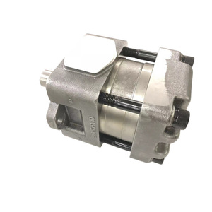 ปั๊มเกียร์ไฮดรอลิกแบบปริมาณคงที่ Sumitomo Qt42 25 A สำหรับชิ้นส่วนเครื่องจักรกล แบบเพลาเดี่ยว หมุนได้ทั้งบวกและลบ - Product Image 1