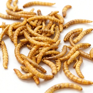 Vermi Essiccati Originali di Fabbrica all'Ingrosso, Alimento ad Alto Contenuto Proteico per Gattini, Cuccioli, Pesci d'Acquario e Uccelli Selvatici - Product Image 2